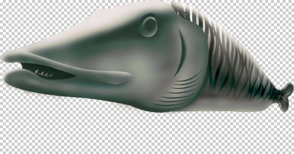 Creation of Muskie: Step 8